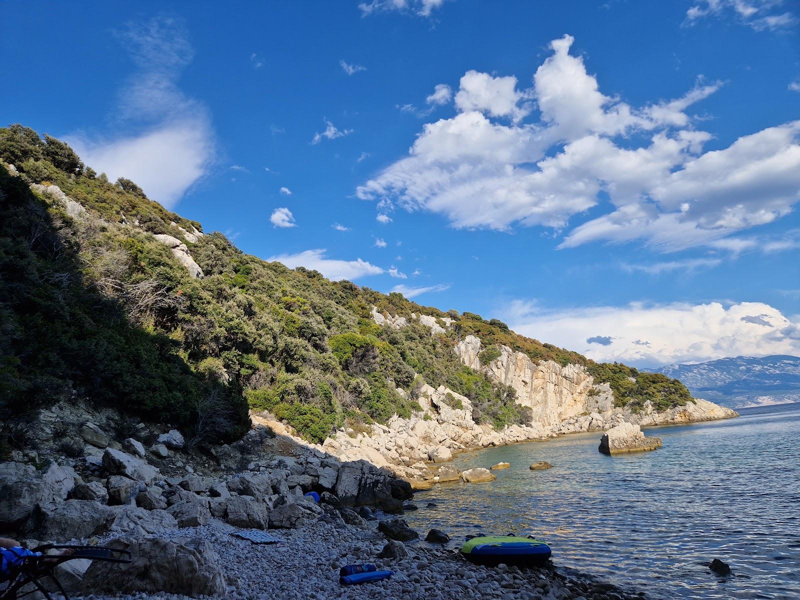 Sandee Wild Bay Grgul