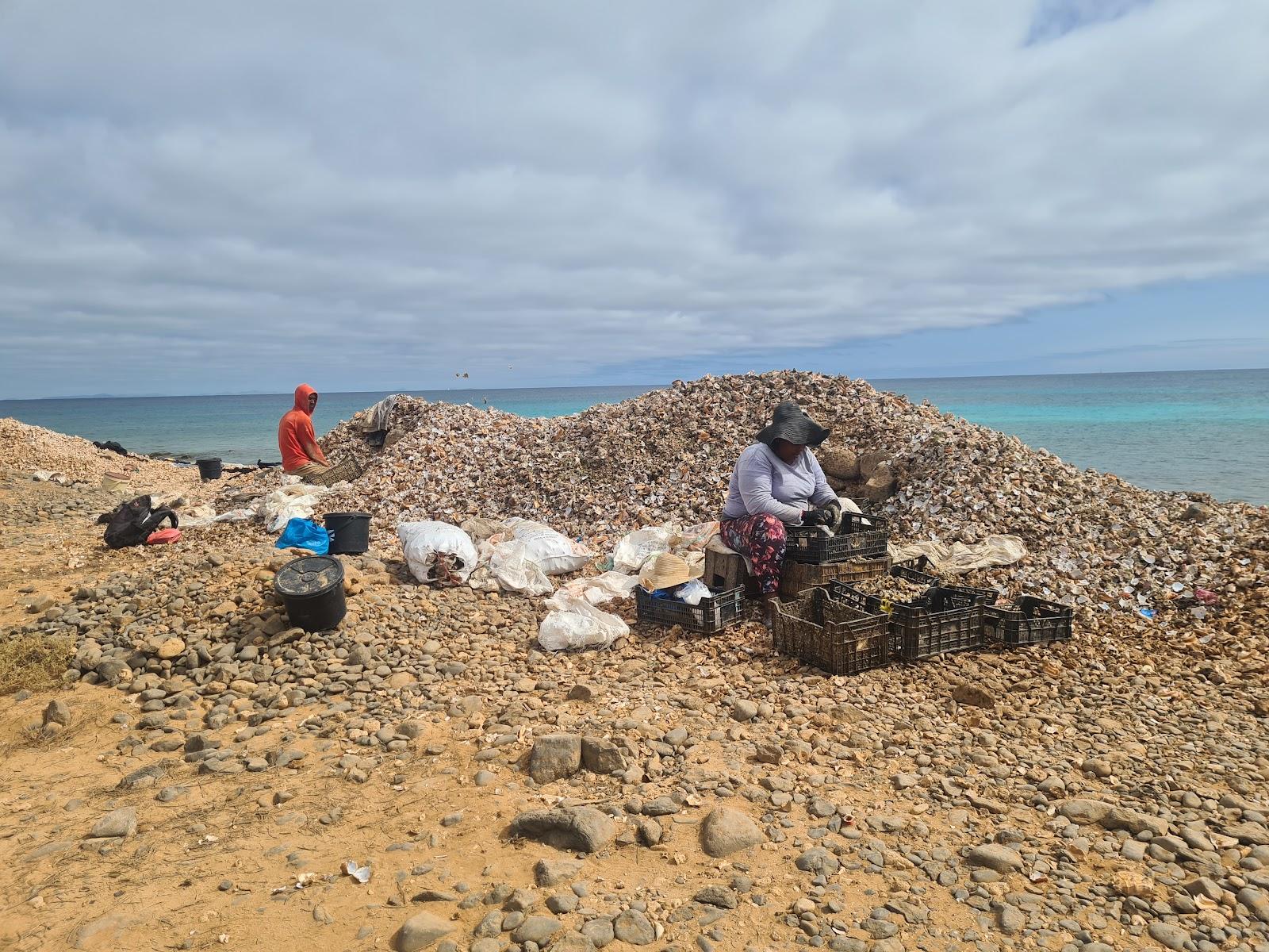 Sandee - Shell Cemetery Beach