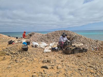 Sandee - Shell Cemetery Beach