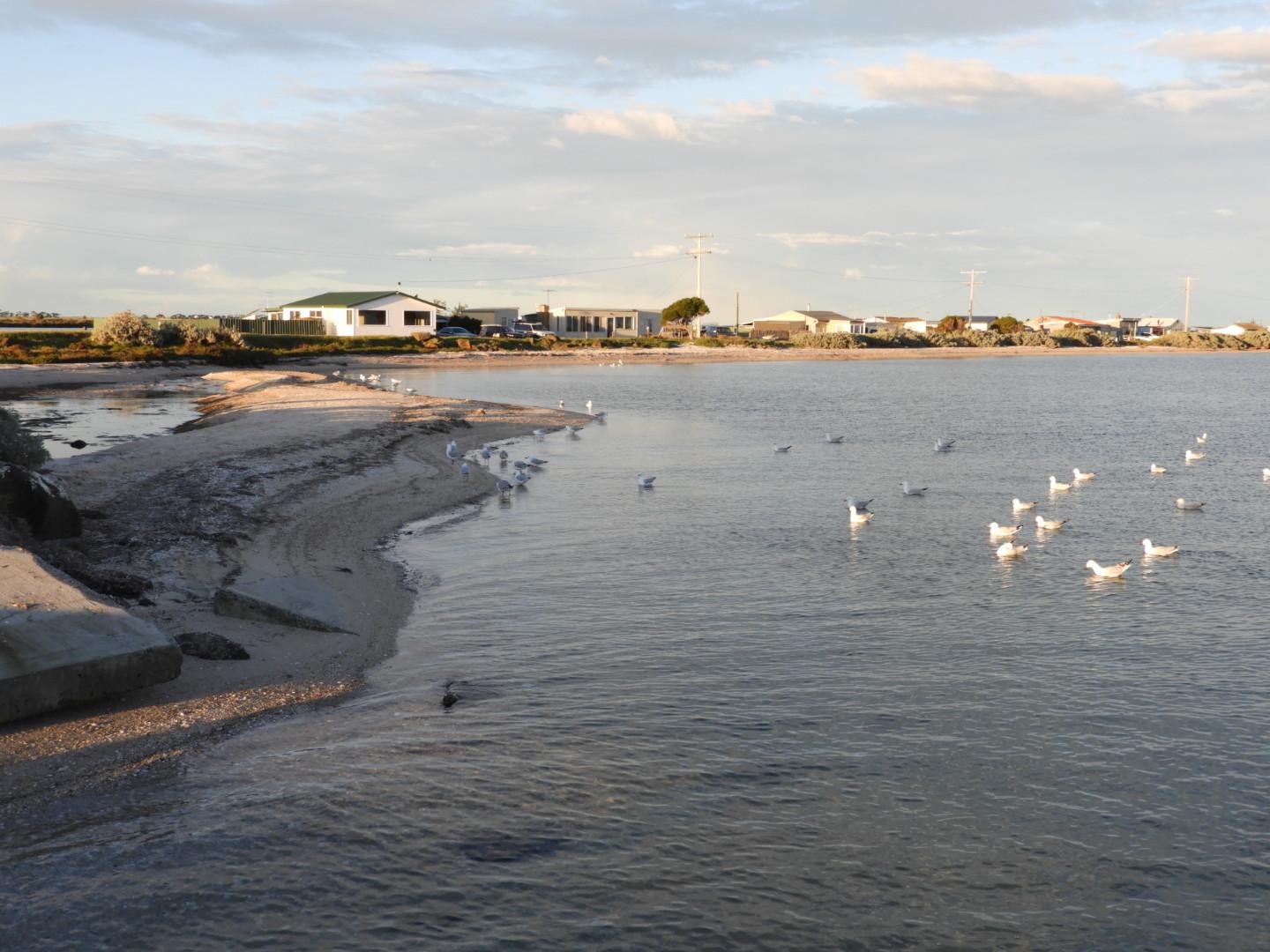 Sandee Snake Island Photo