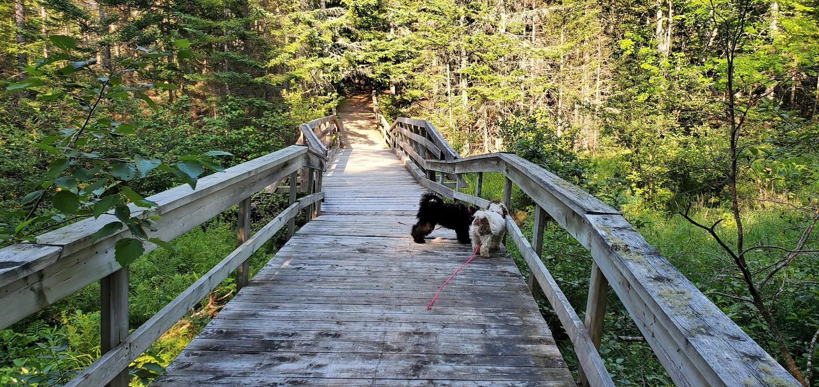 Sandee Amherst Shore Provincial Park