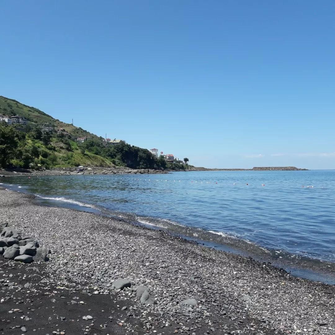 Sandee Mersin Belediyesi Plajı