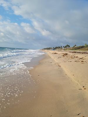 Sandee - Ocean Ridge Hammock Park