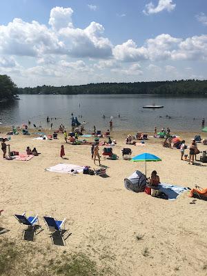 Sandee - Spring Lake Beach