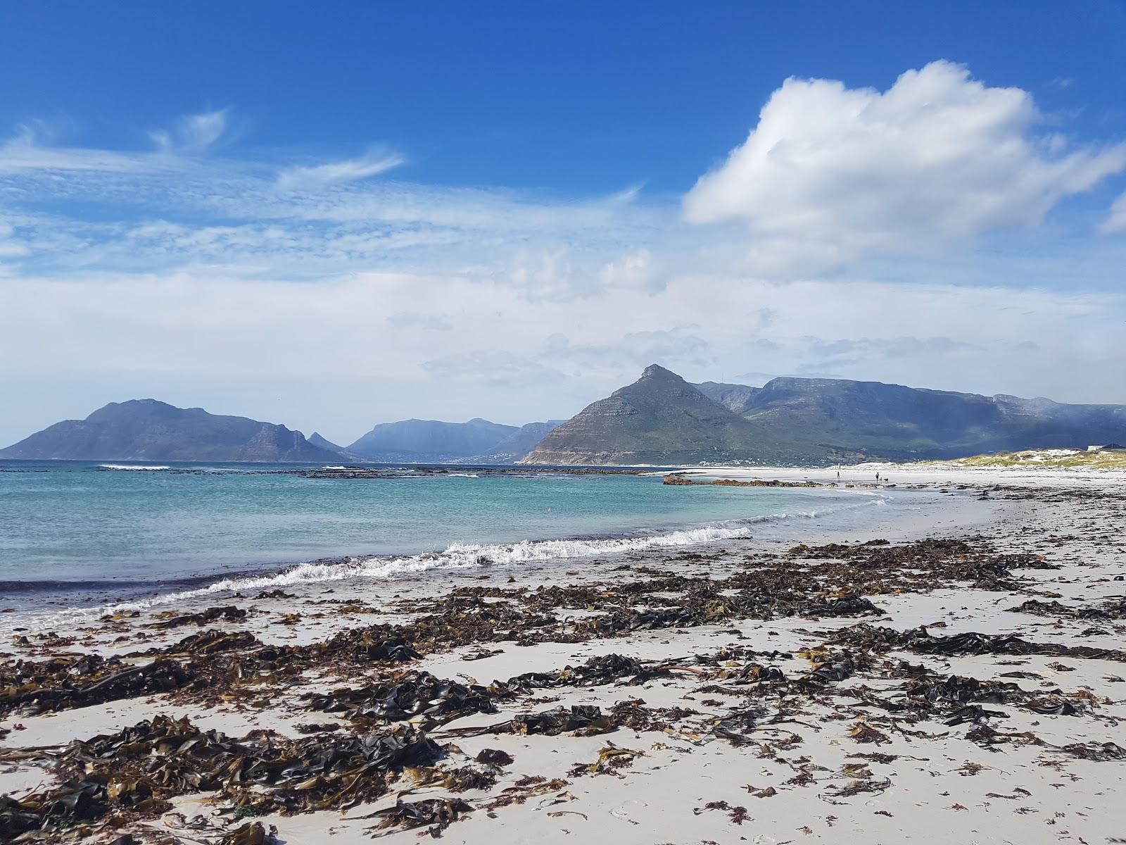 Sandee - Wreck Of The Kakapo Beach