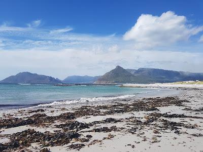 Sandee - Wreck Of The Kakapo Beach