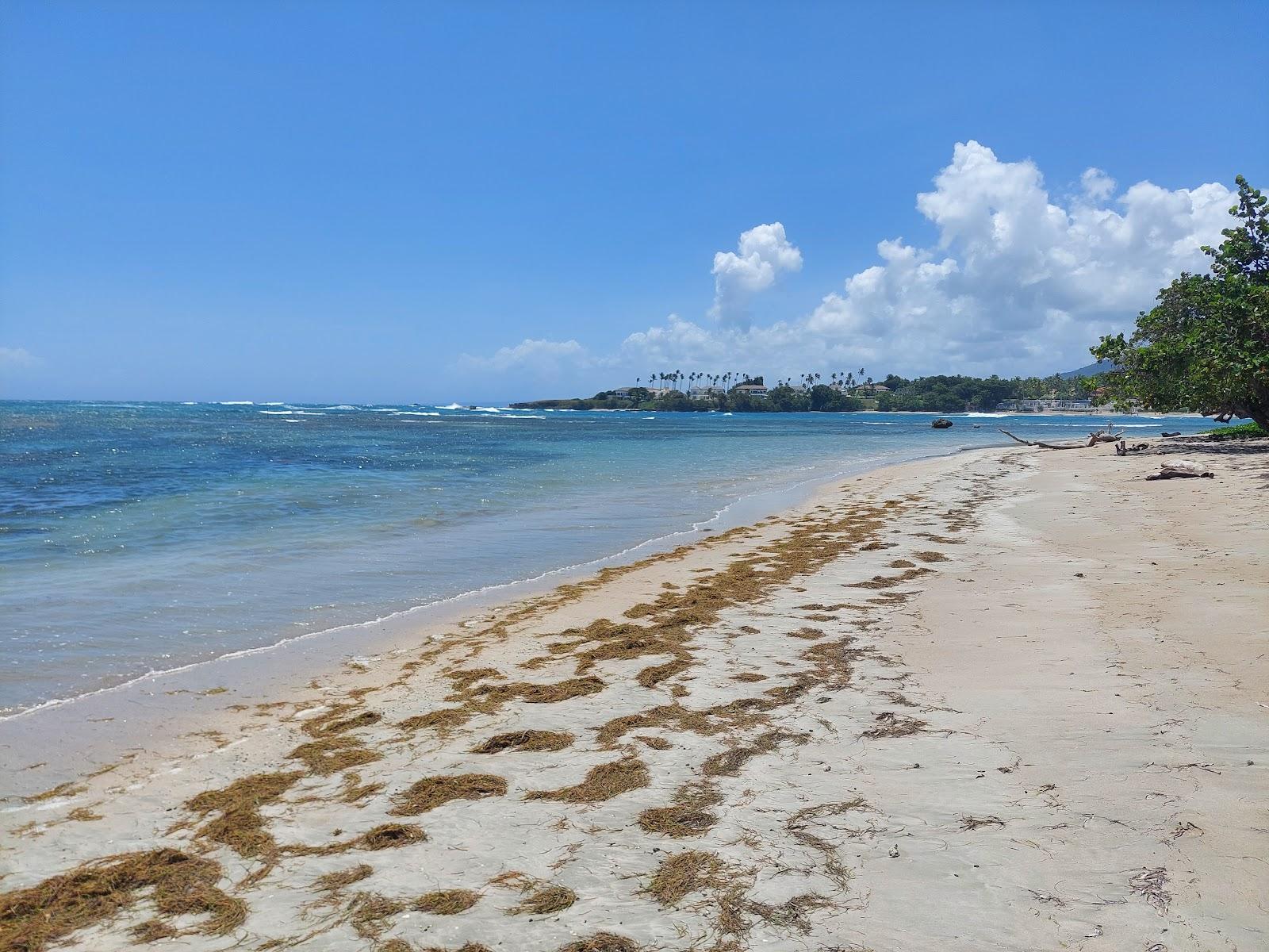 Sandee Cofresi Beach