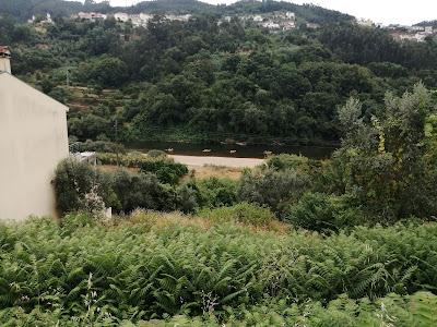 Sandee - Praia Fluvial Torres Mondego