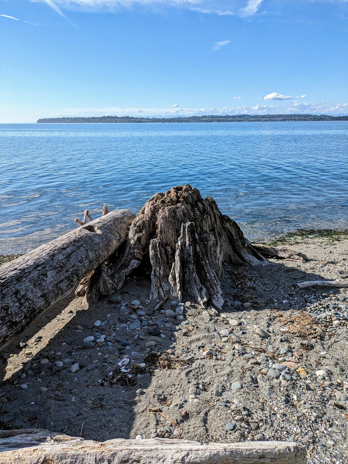 Sandee - Birch Bay State Park