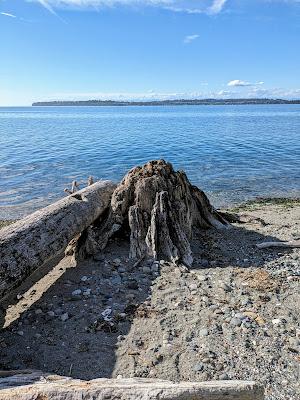 Sandee - Birch Bay State Park