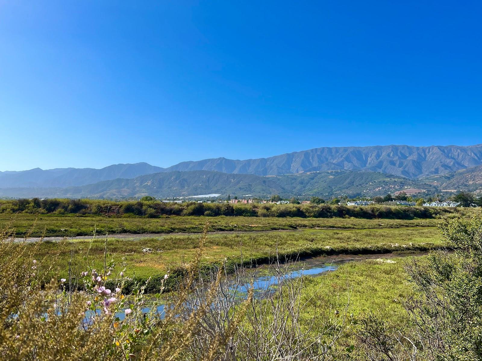 Sandee Carpinteria Salt Marsh Nature Park