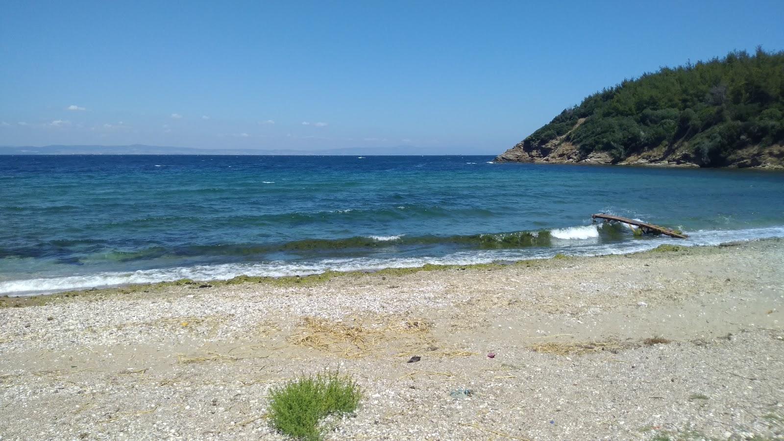 Sandee Tripce Beach - Disbudak