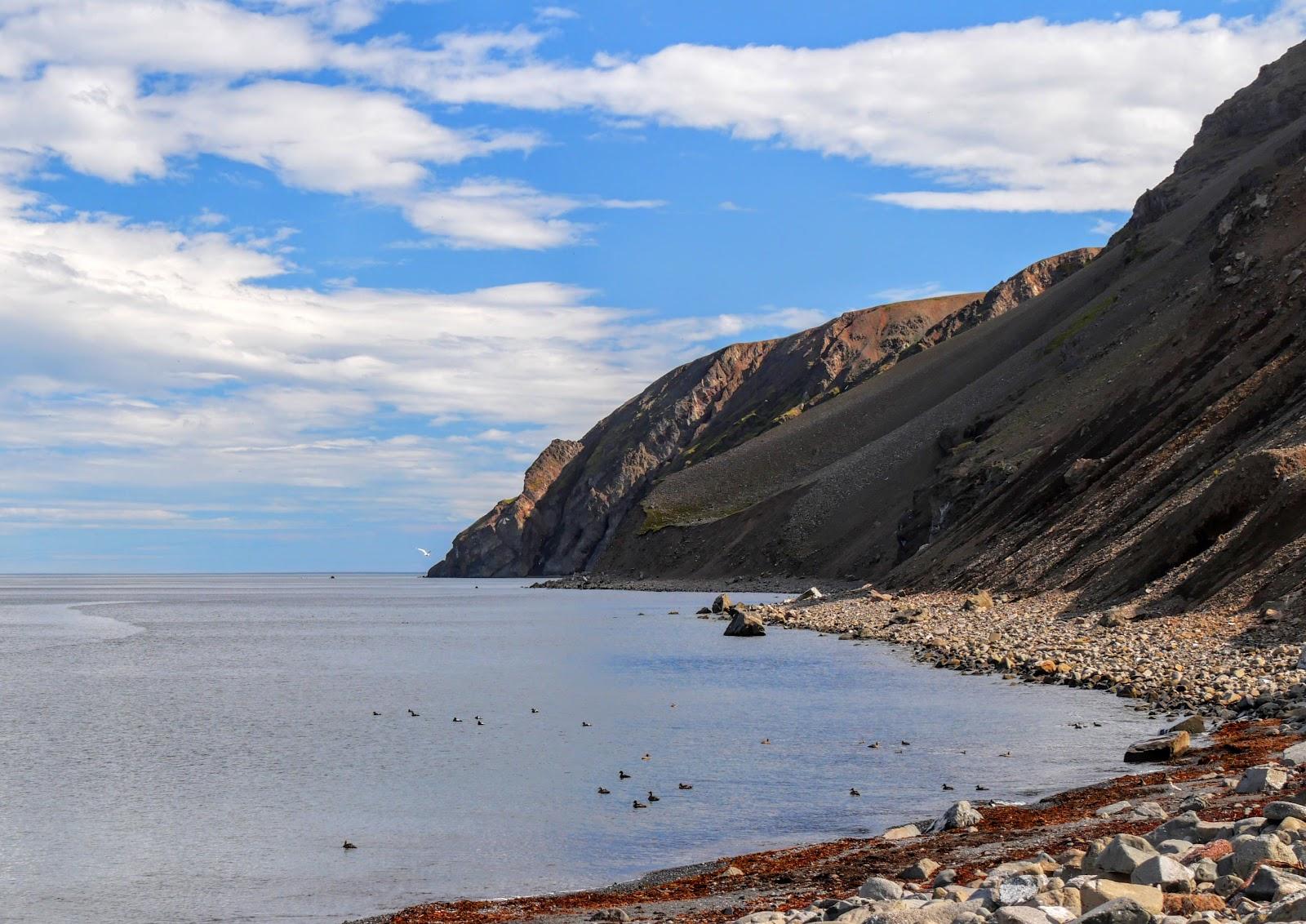 Sandee Fjorour Beach