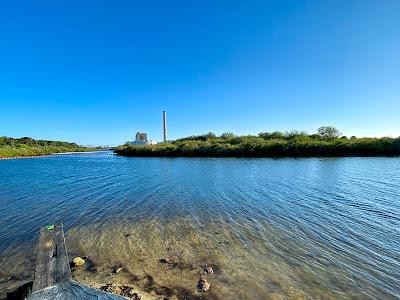 Sandee - Anclote Gulf Park