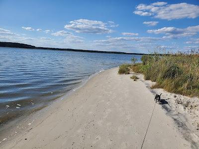 Sandee - Fenwick Island State Park Beach South