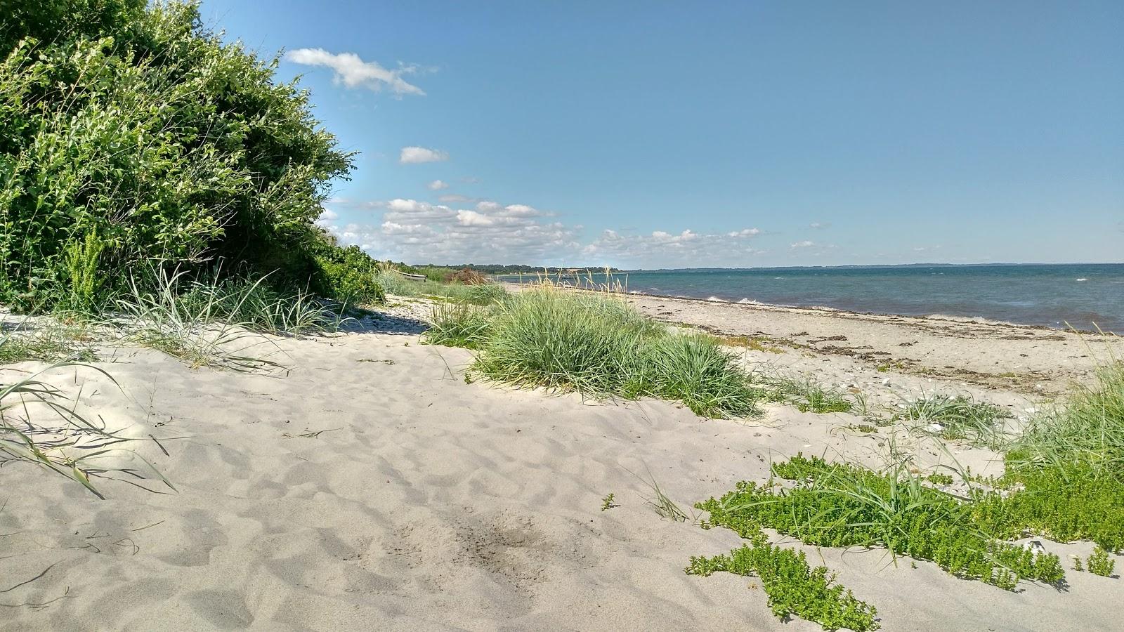 Sandee Skovgarde Strand