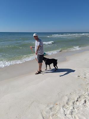 Sandee - Pensacola Dog Beach East