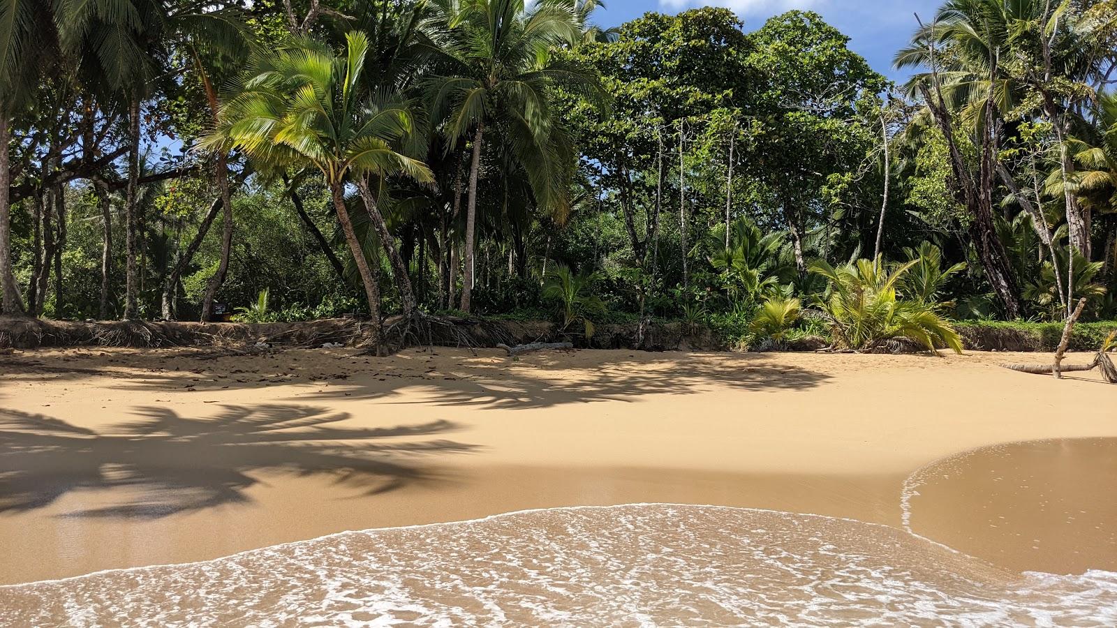 Sandee Bluff Beach Photo