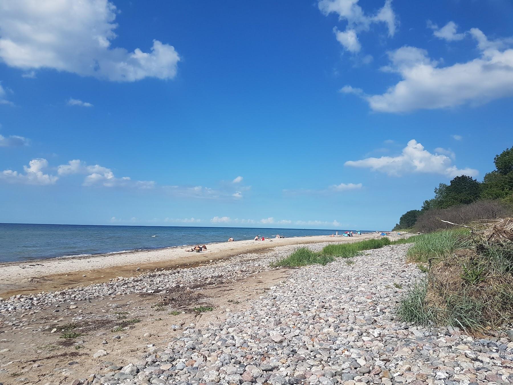 Sandee Naturstrand Gross Schwansee Bei Kalkhorst