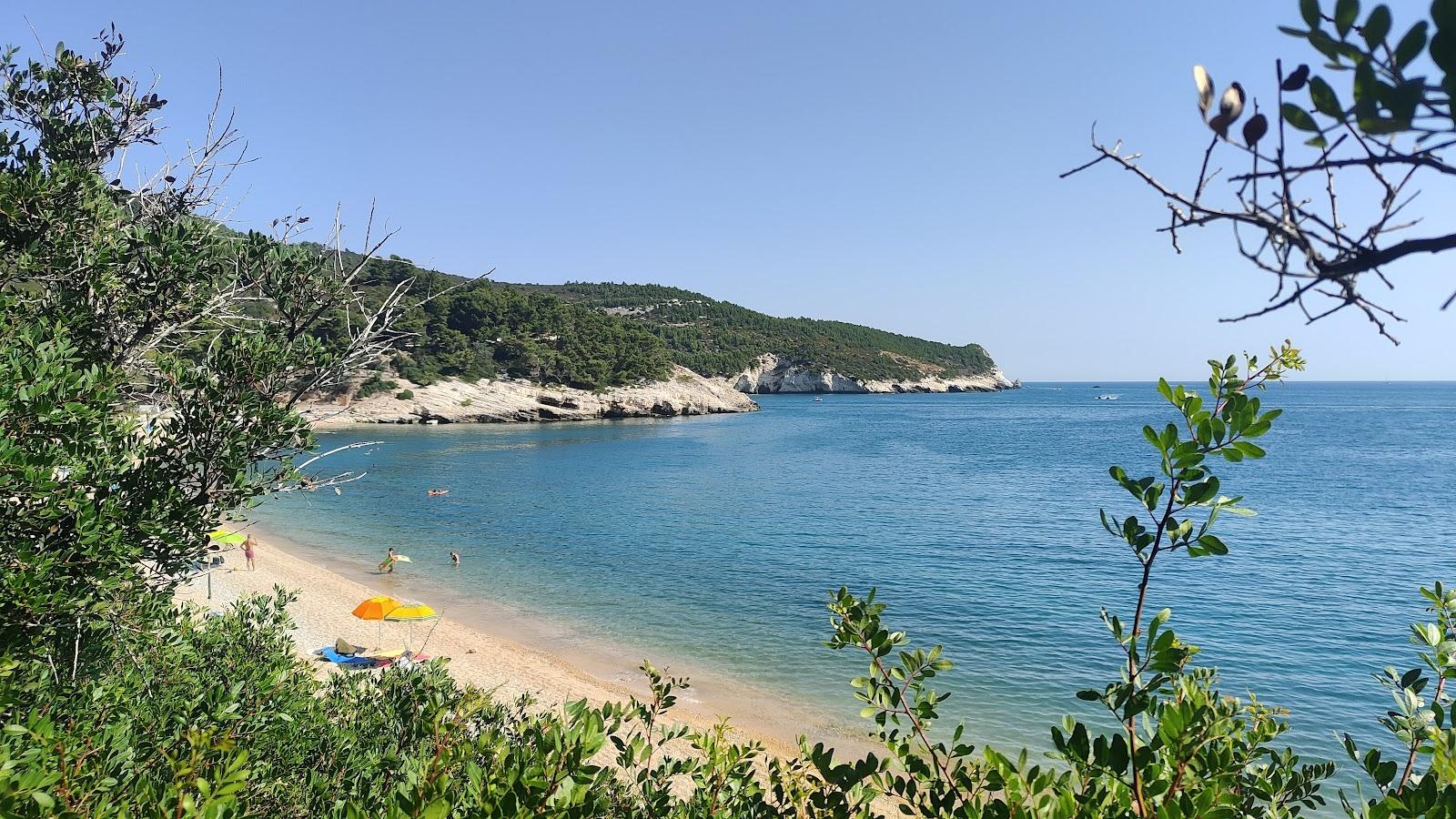 Sandee Spiaggia Di Baia Di Campi