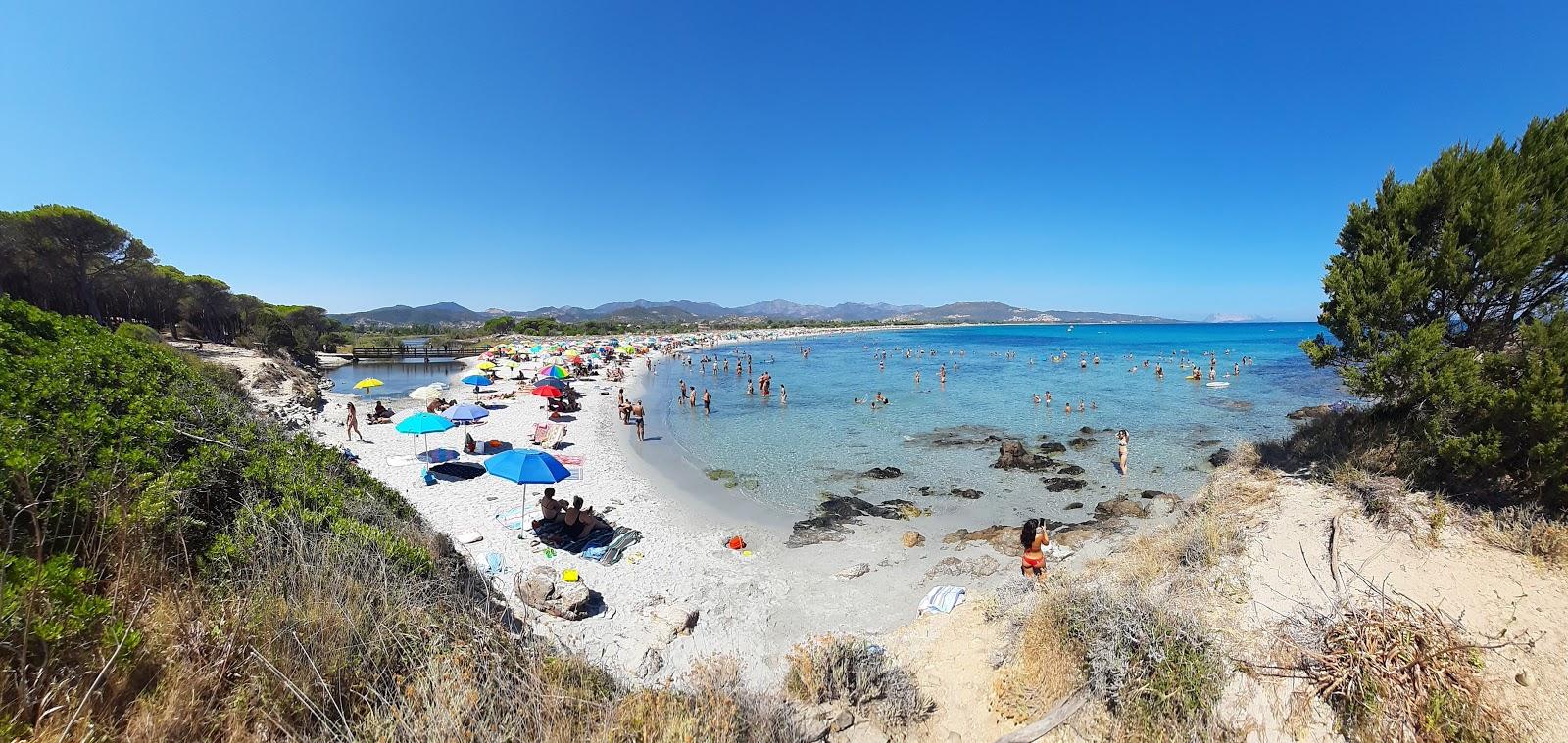 Sandee Spiaggia Capannizza Photo