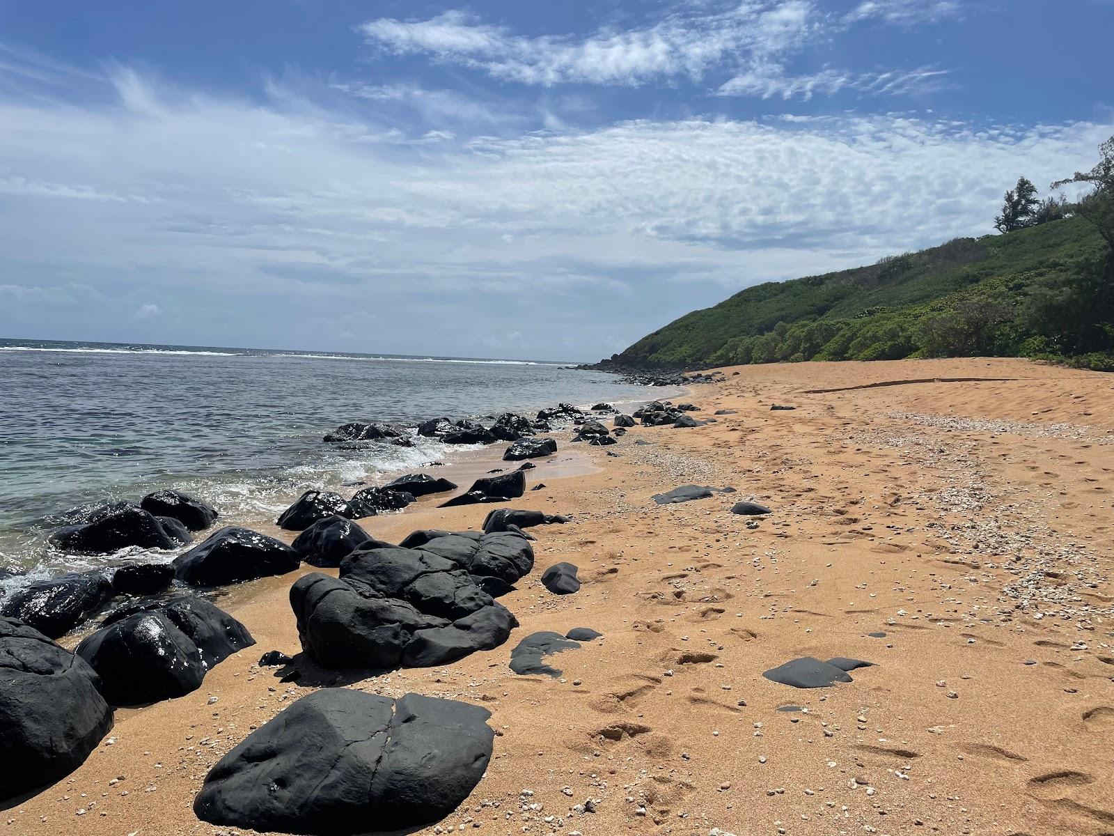 Sandee - Larsen's Beach