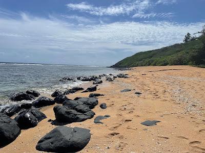 Sandee - Larsen's Beach