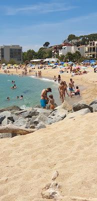 Sandee - Platja Del Bassiot / Platja Del Passeig Del Mar