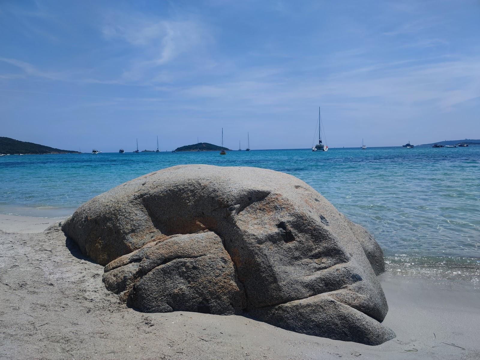 Sandee Plage De Saint-Cyprien