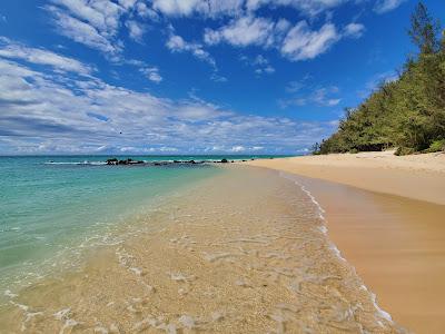 Sandee - Kanaha Beach Park