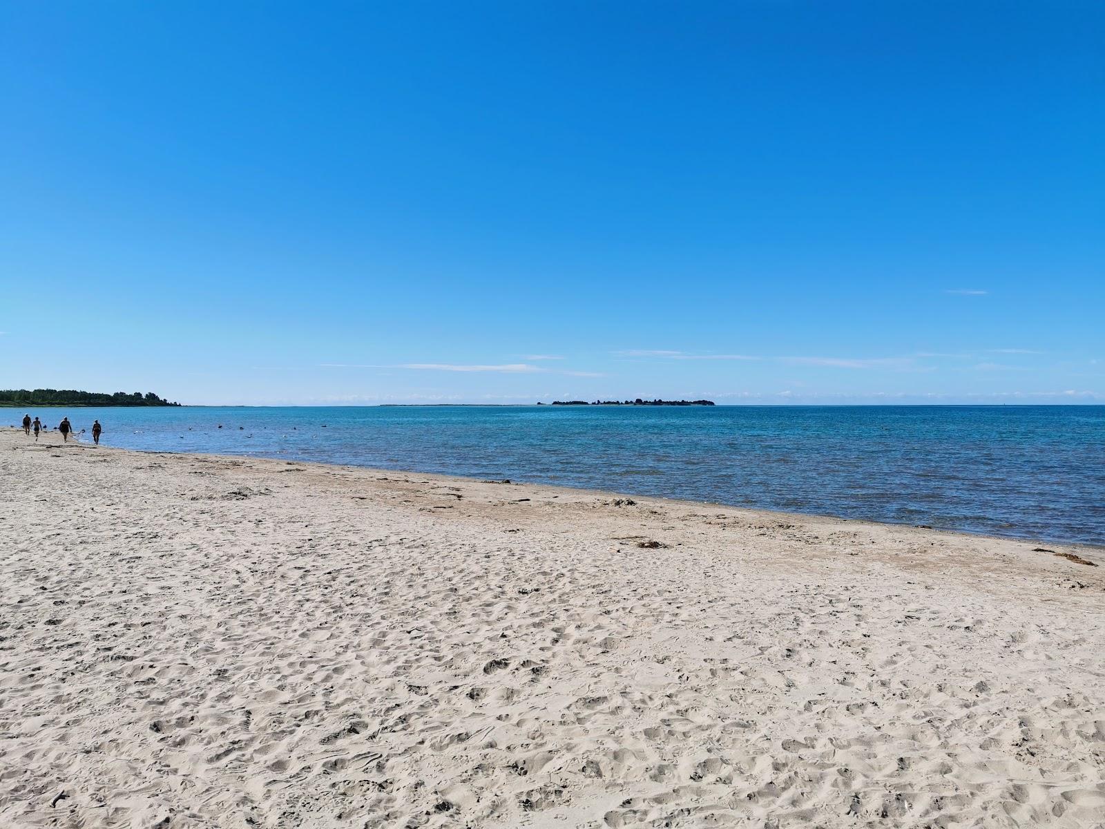 Sandee Presqu'Ile Provincial Park Photo