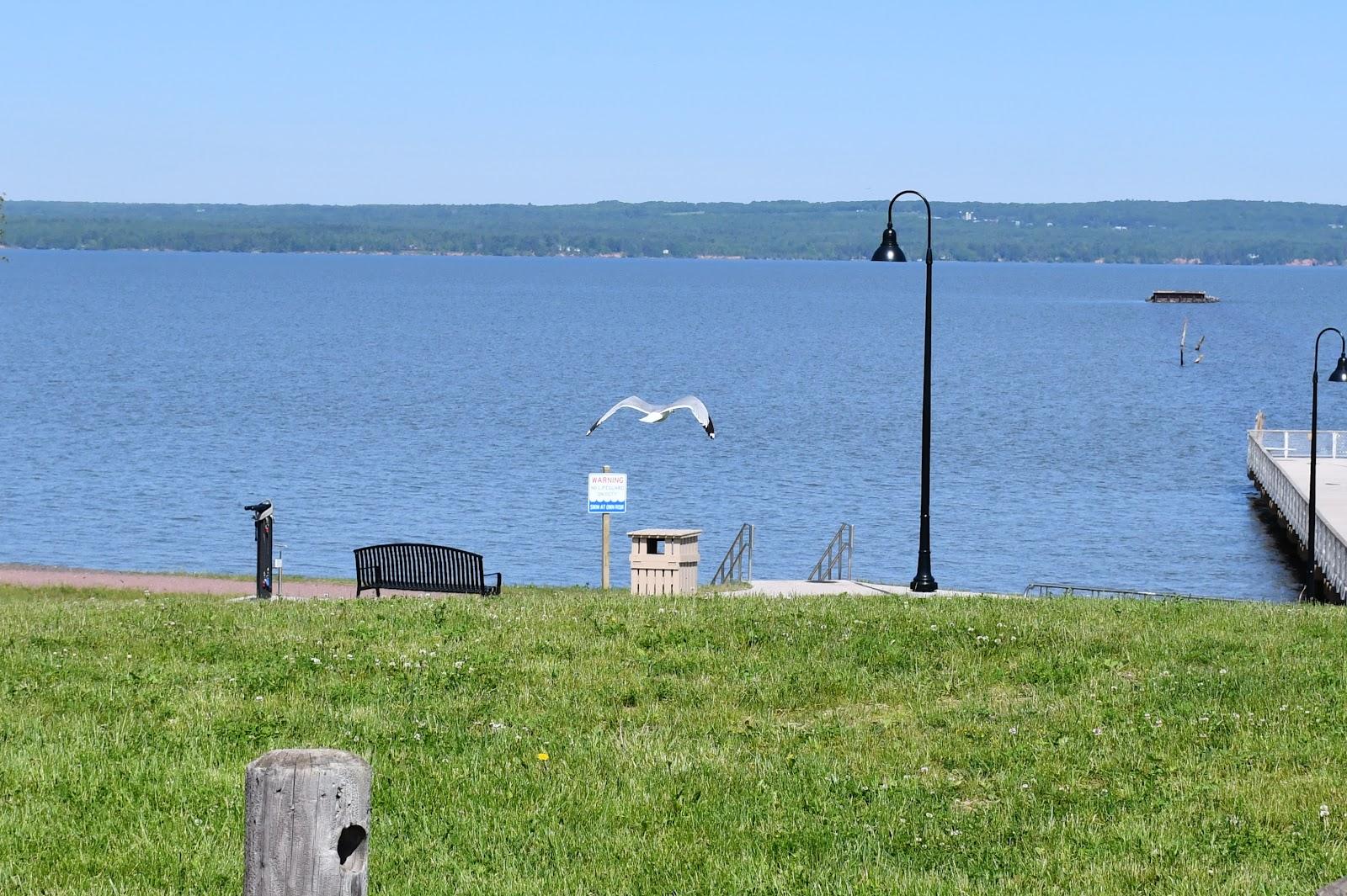 Sandee Bayview Park Beach