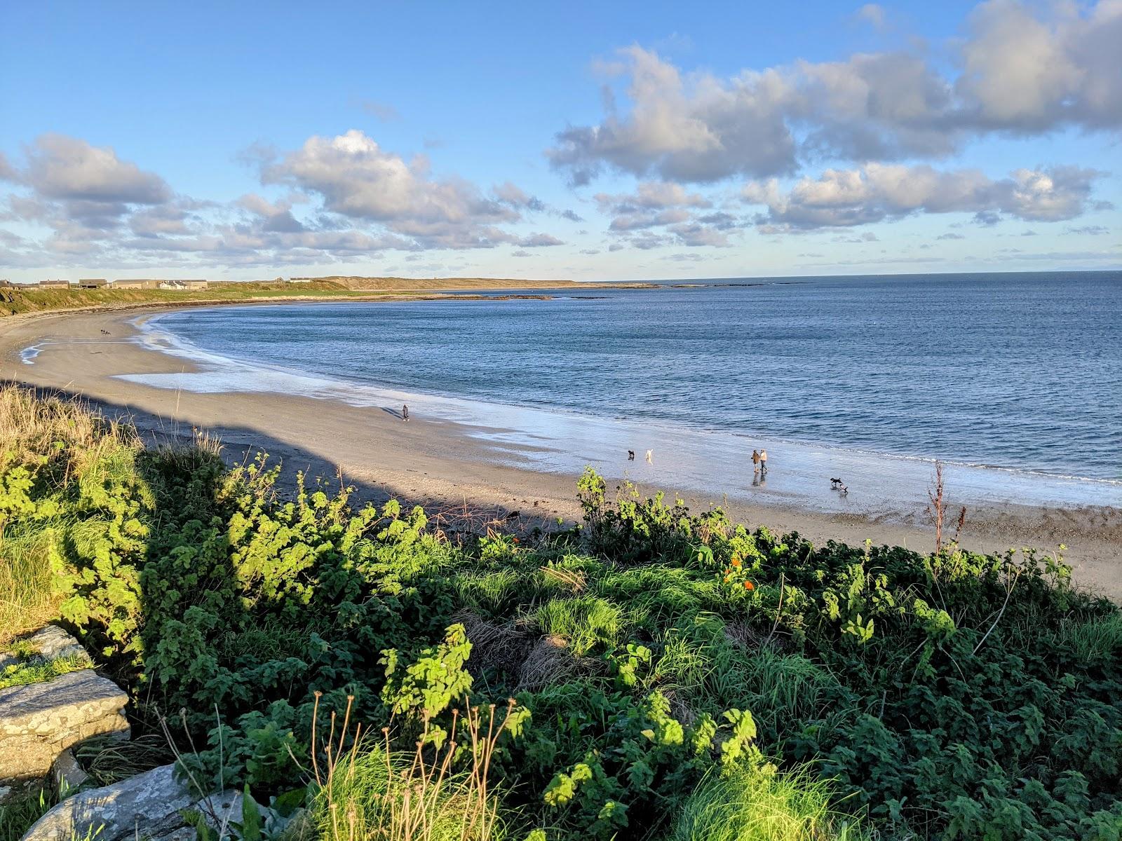 Sandee Ballyhornan Bay Beach
