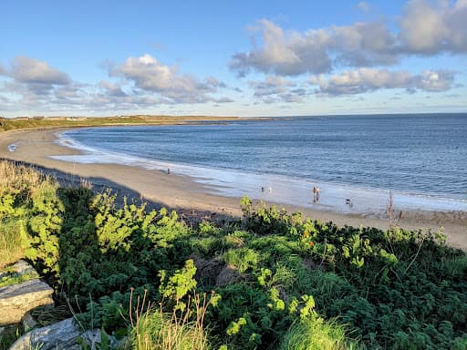 Sandee Ballyhornan Bay Beach Photo