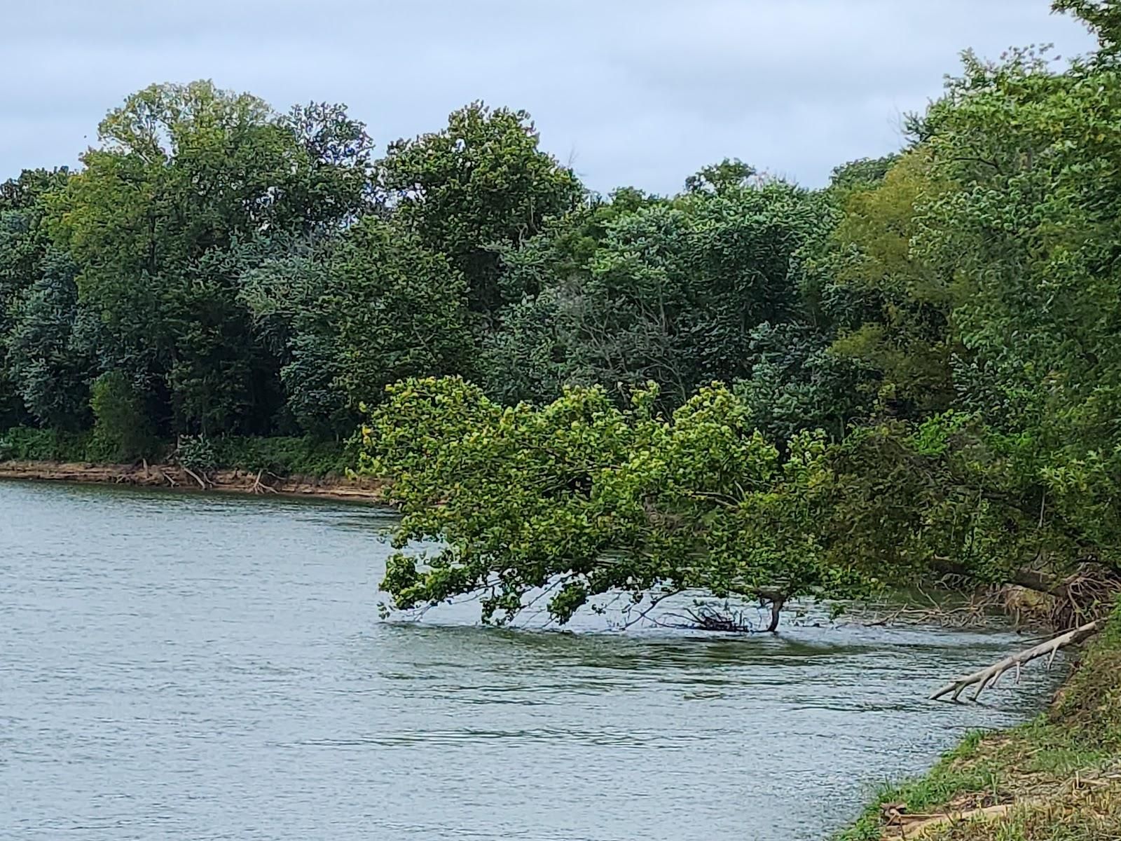 Sandee - Jacksonport State Park