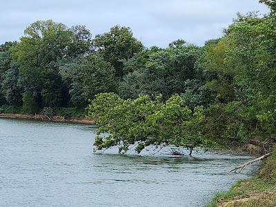 Sandee - Jacksonport State Park