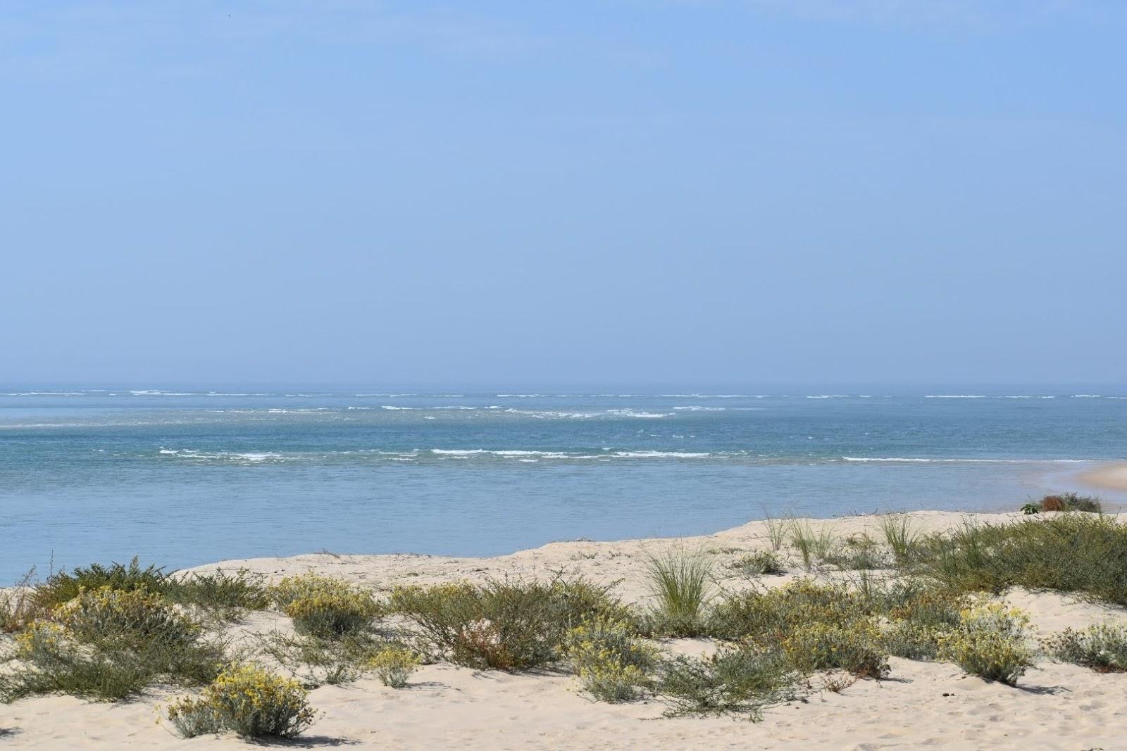 Sandee - Plage De La Pointe. Cap Ferret