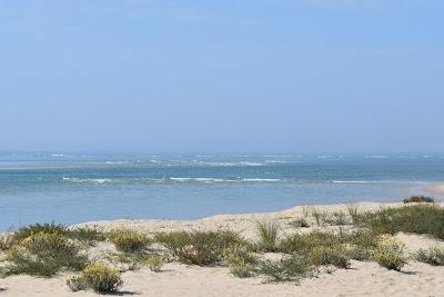 Sandee - Plage De La Pointe. Cap Ferret