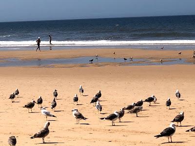 Sandee - Praia Naturista 19