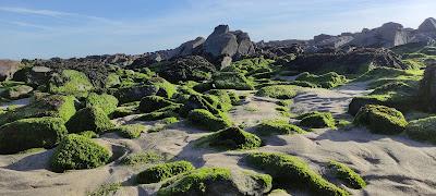 Sandee - Praia Do Bucho