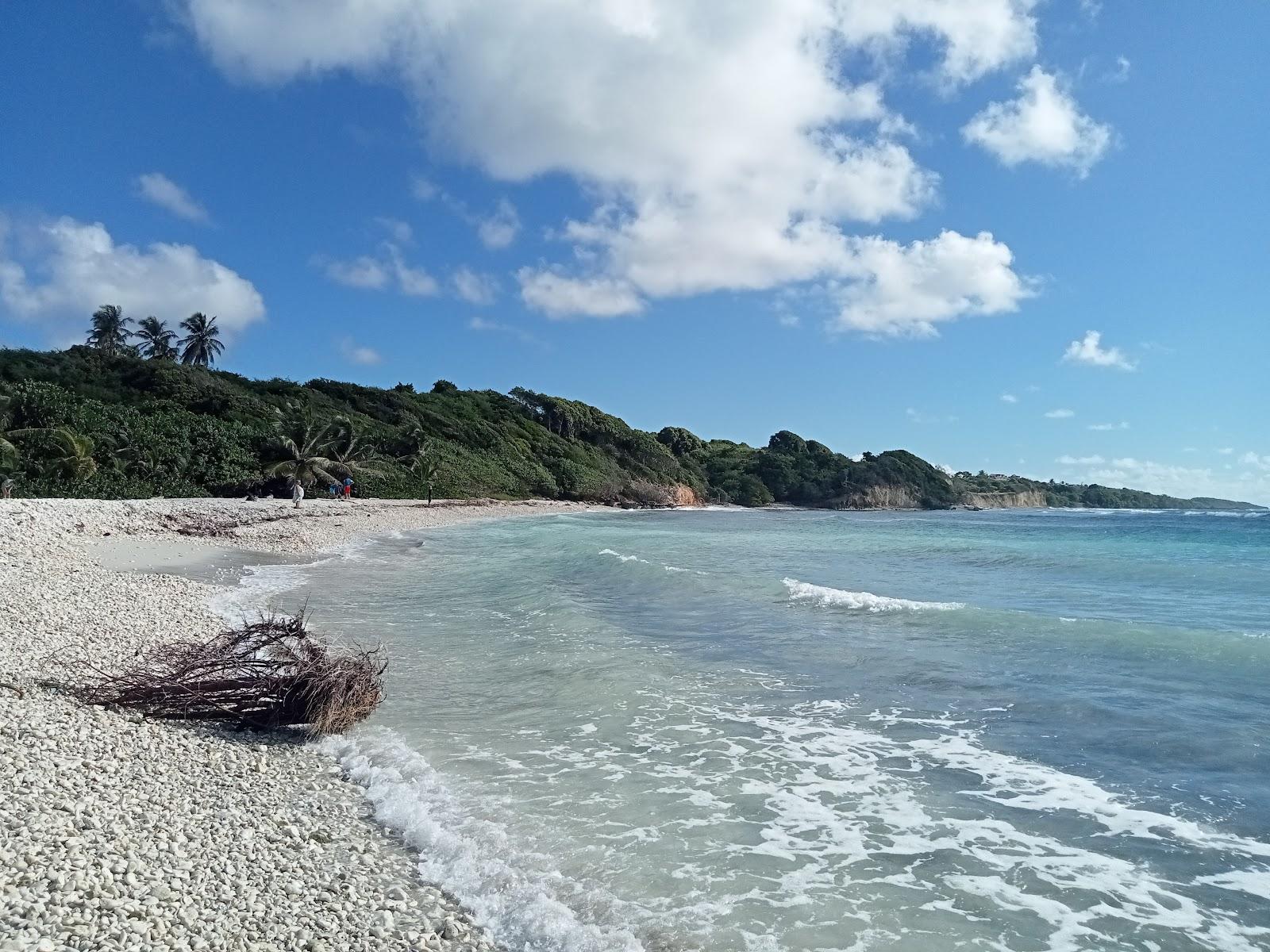 Sandee - HomePage / Sainte Anne
