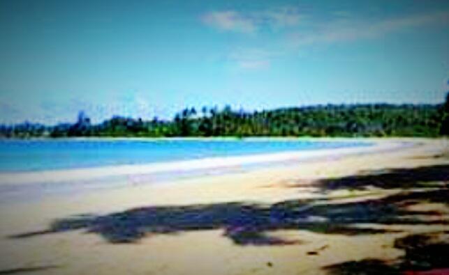 Sandee Pantai Toyolawa