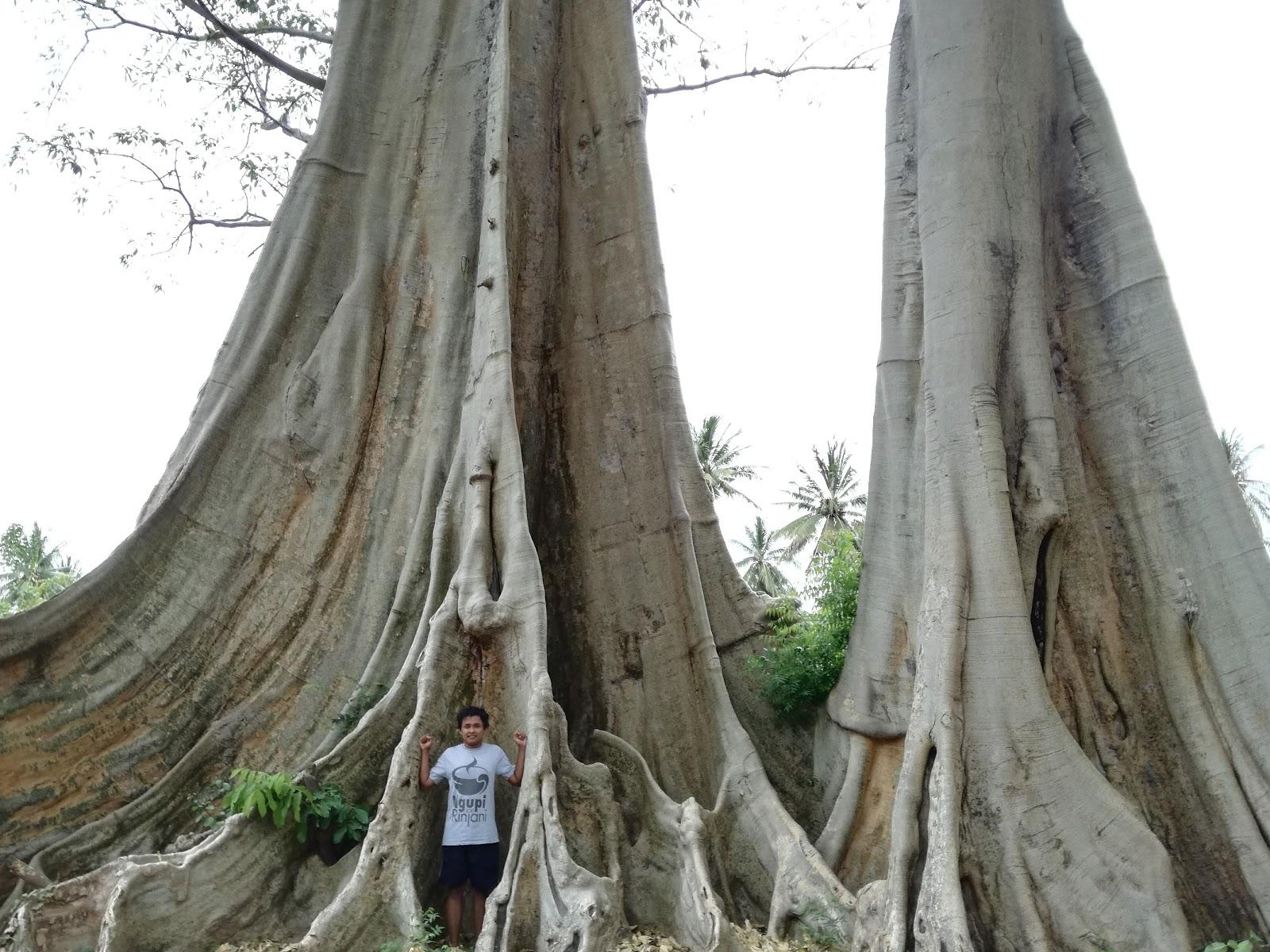 Sandee Pantai Pengayoman Photo