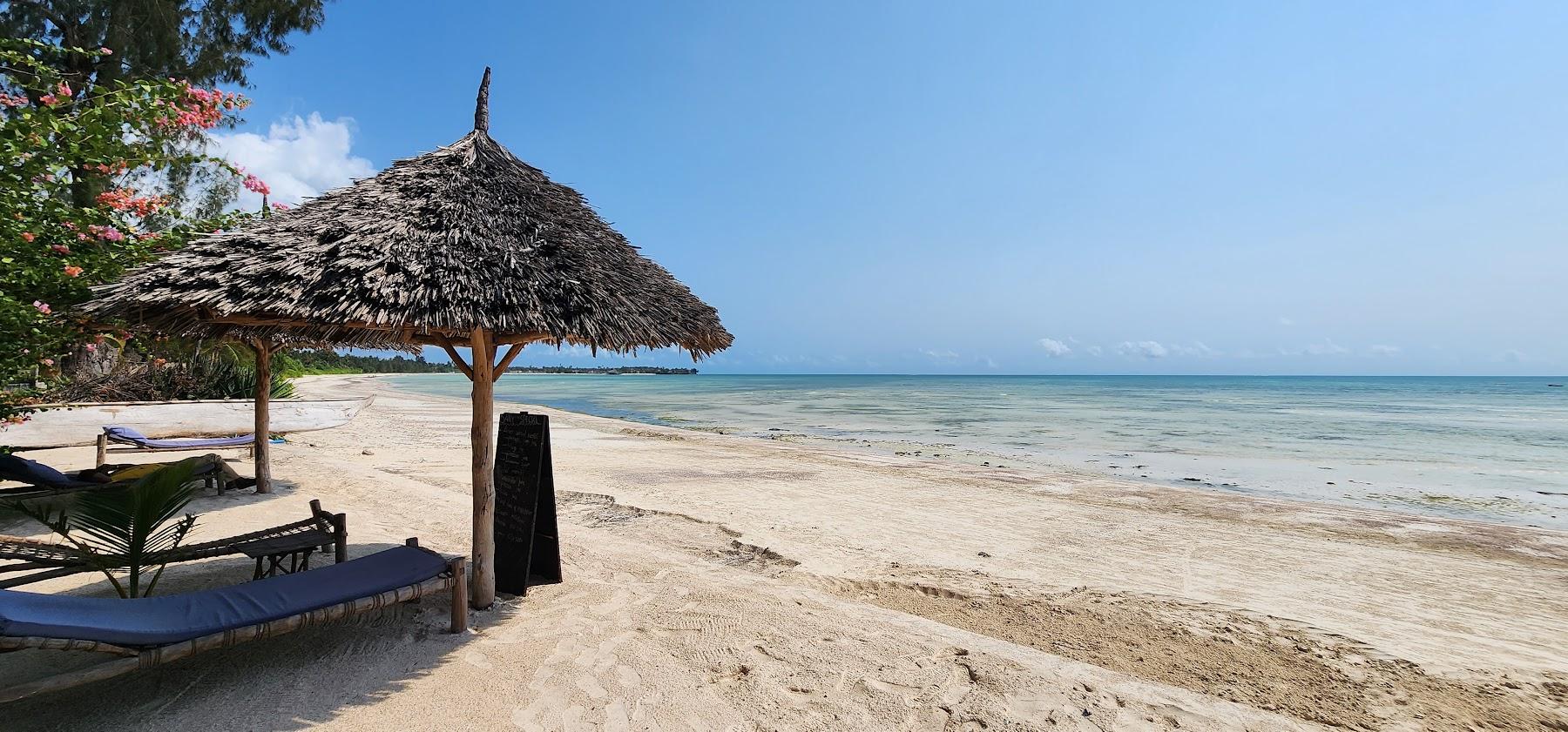 Sandee Pongwe Beach