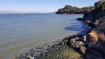 Sandee - China Camp Beach