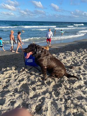 Sandee - Bark Park Dog Beach