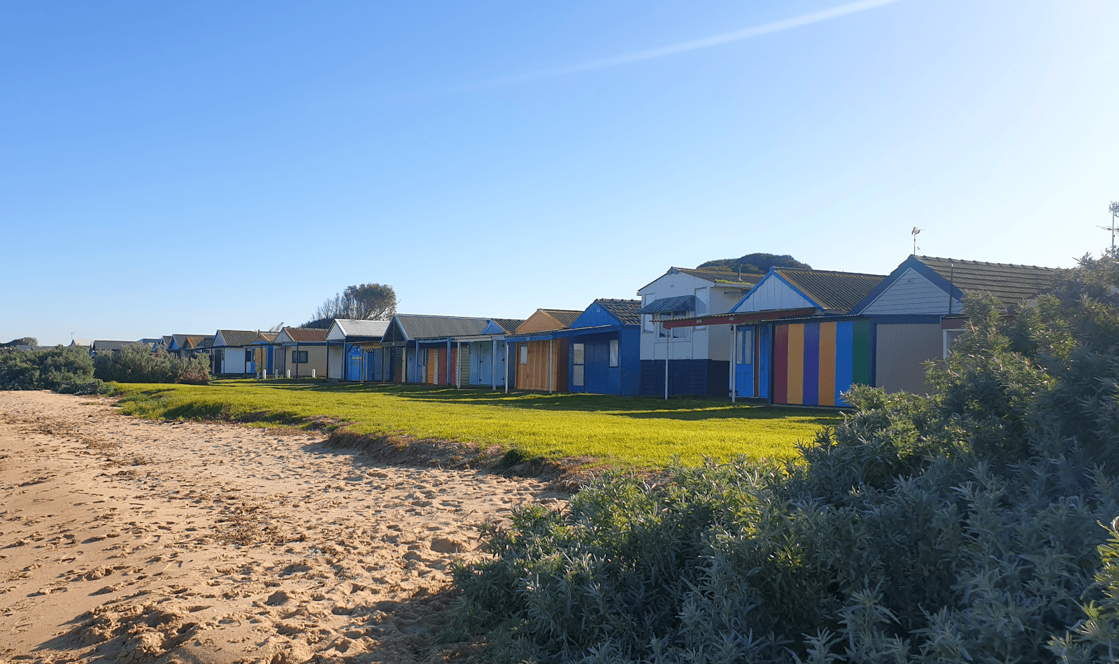 Sandee Campbells Cove Beach Photo