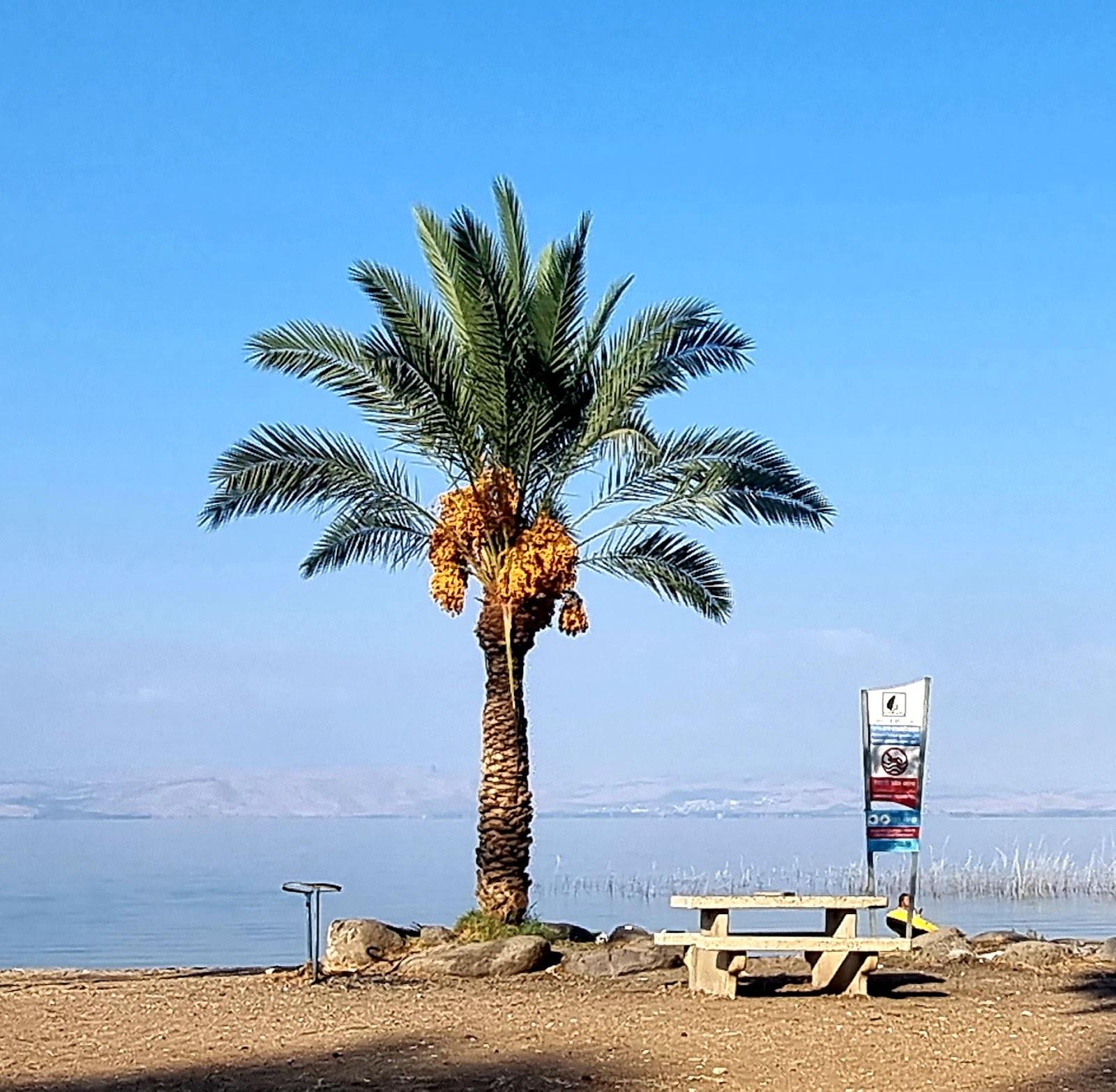 Sandee Golan Beach
