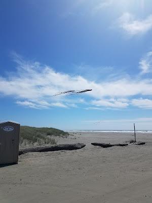 Sandee - Bolstad Beach