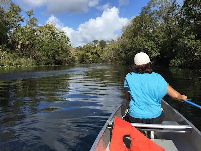 Sandee - Alexander Springs Recreation Area